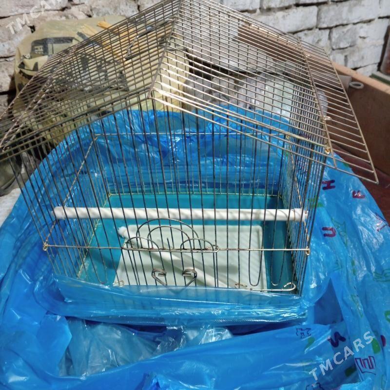 oy goslary satlykda - 30 mkr - img 3