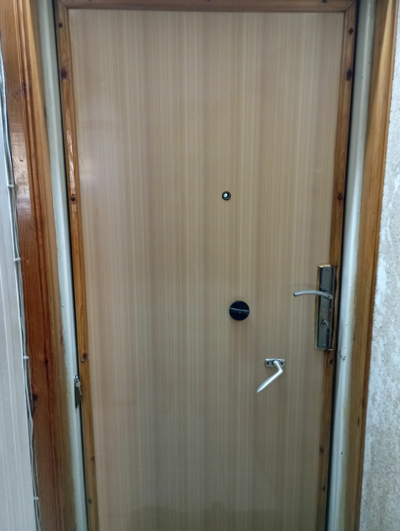 Дверь - Ашхабад - img 2