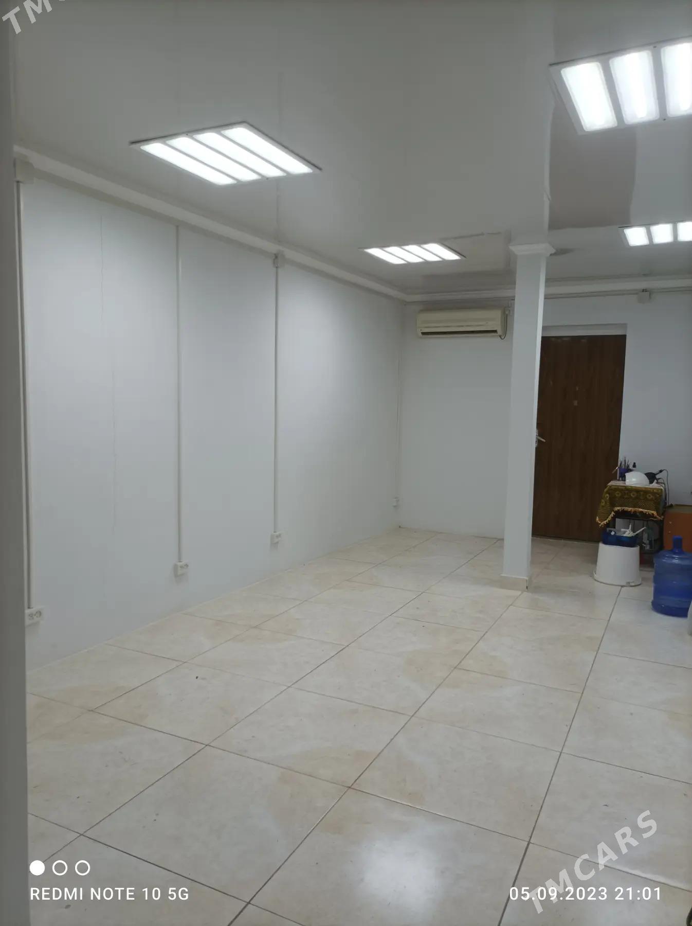 военная книга - Туркменбаши - img 2