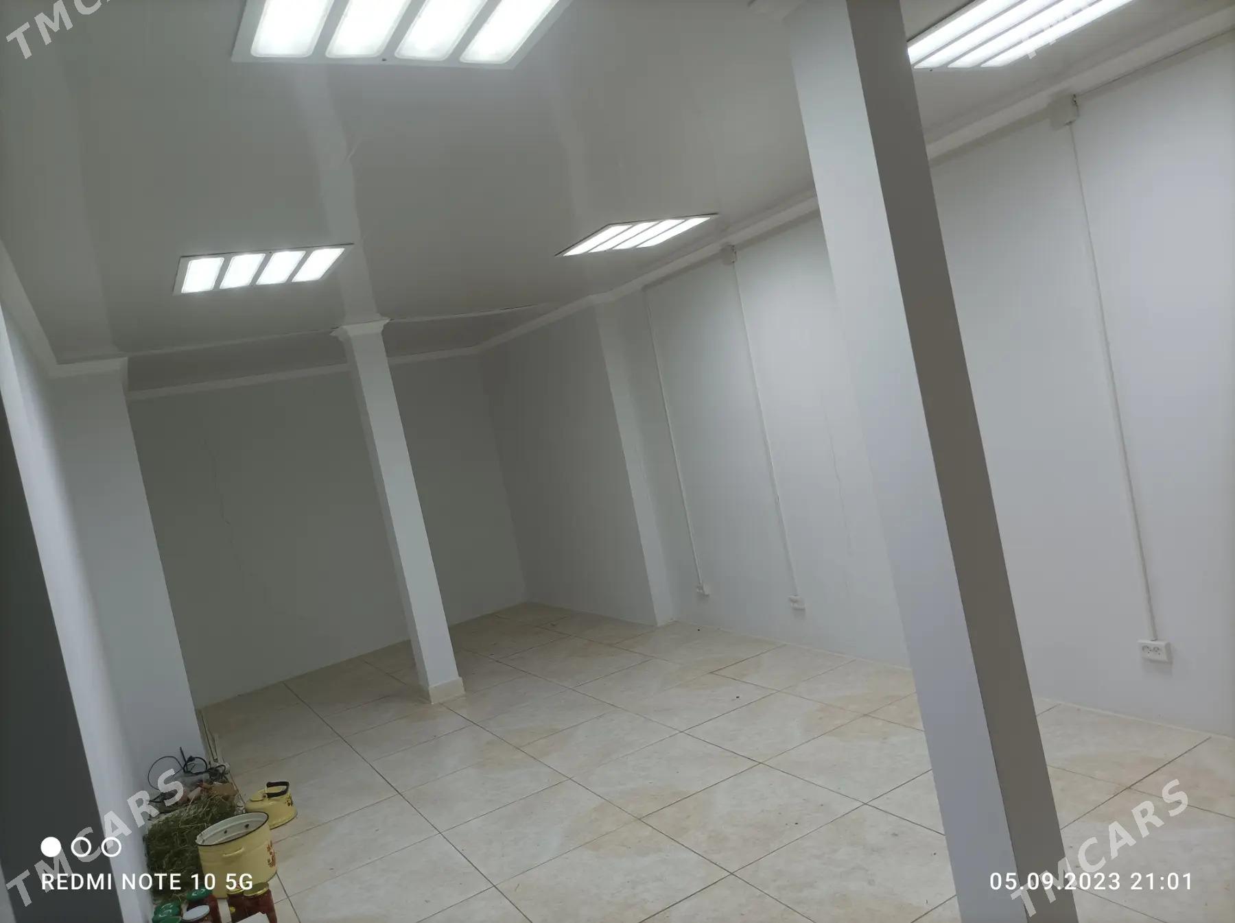 военная книга - Туркменбаши - img 3