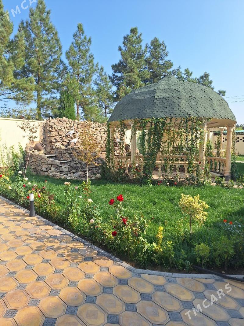 котеж жай - Bagyr - img 10