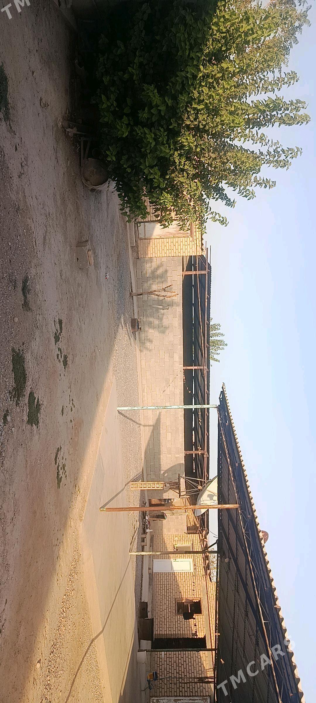 satlyk jay - Ýaşlyk - img 3