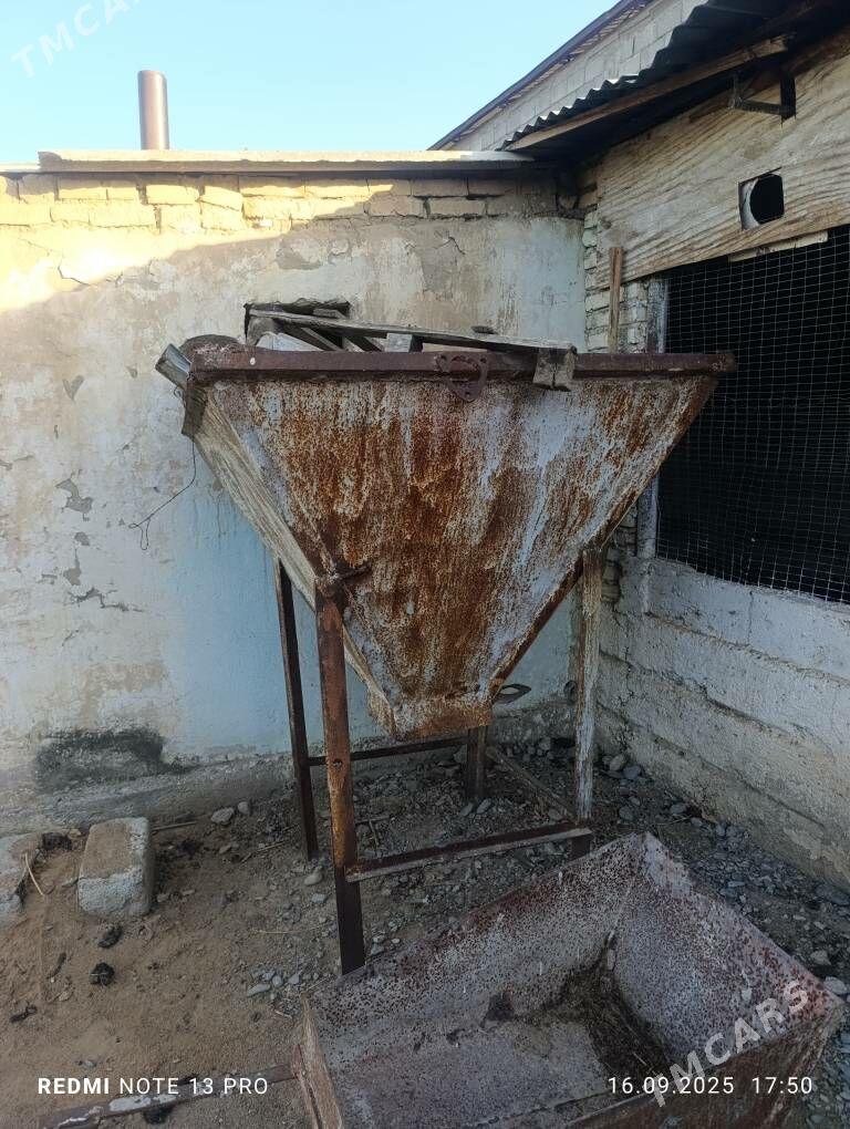 Biton gazan - Гёкдепе - img 2