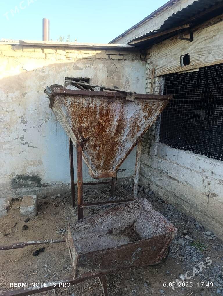 Biton gazan - Гёкдепе - img 1