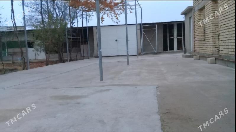 Satlyk Jaý - Kaka - img 2