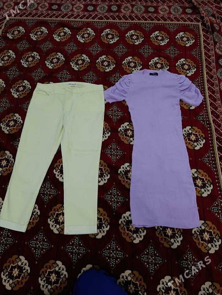 balaklar - Daşoguz - img 4