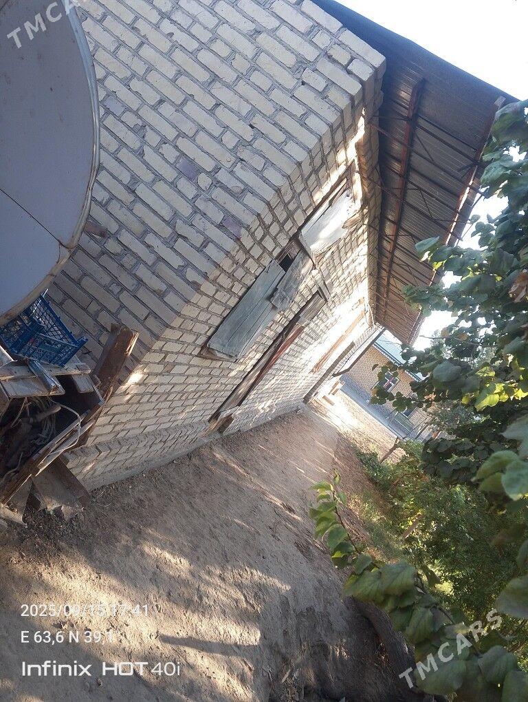 Satlyk jay - Дянев - img 1