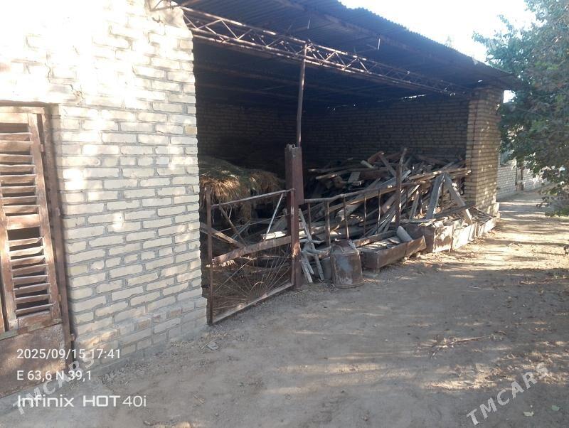 Satlyk jay - Дянев - img 5