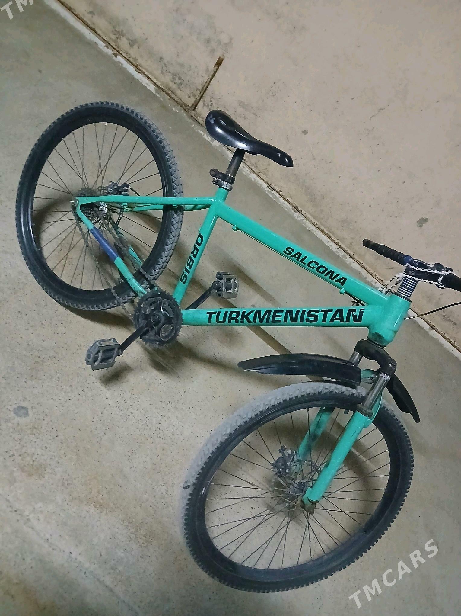 Turkmenistan tigir - Чоганлы - img 4