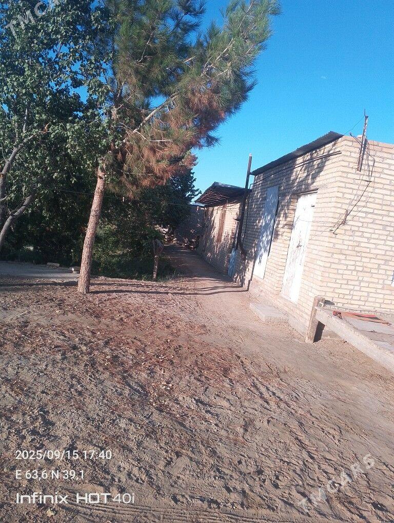 Satlyk jay - Дянев - img 3