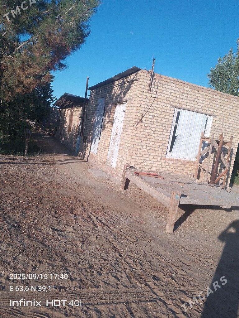 Satlyk jay - Дянев - img 2