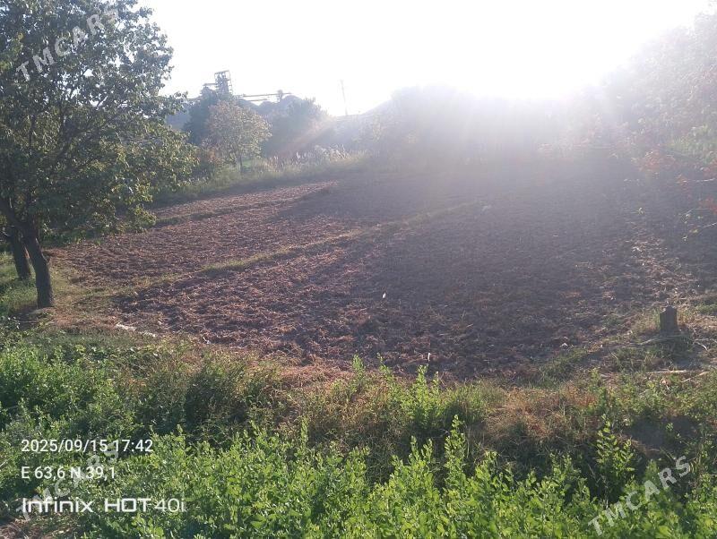 Satlyk jay - Дянев - img 6