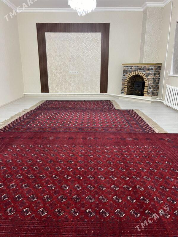 Bedew howly - Bedew - img 2