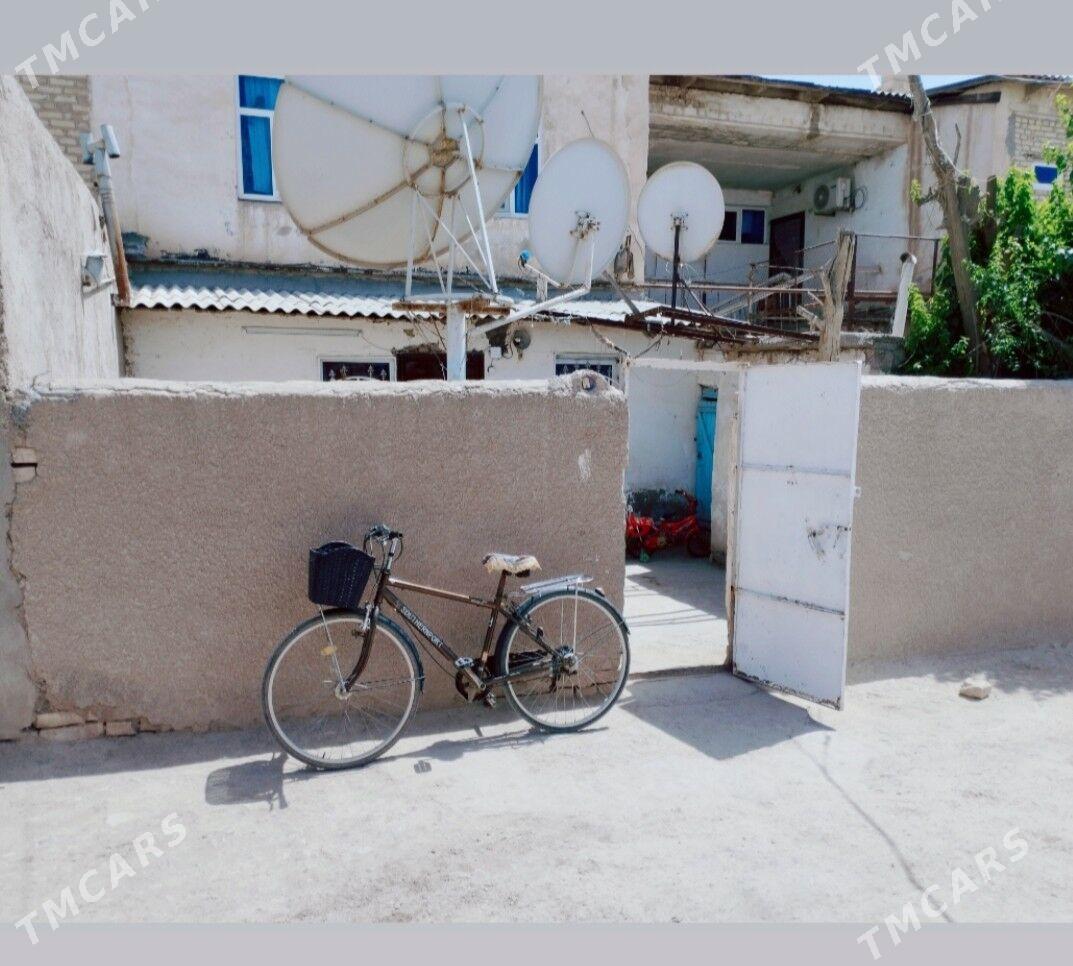 Satlyk jay - Tejen - img 3