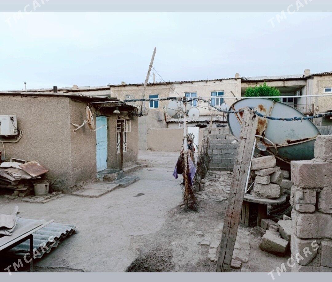 Satlyk jay - Tejen - img 2