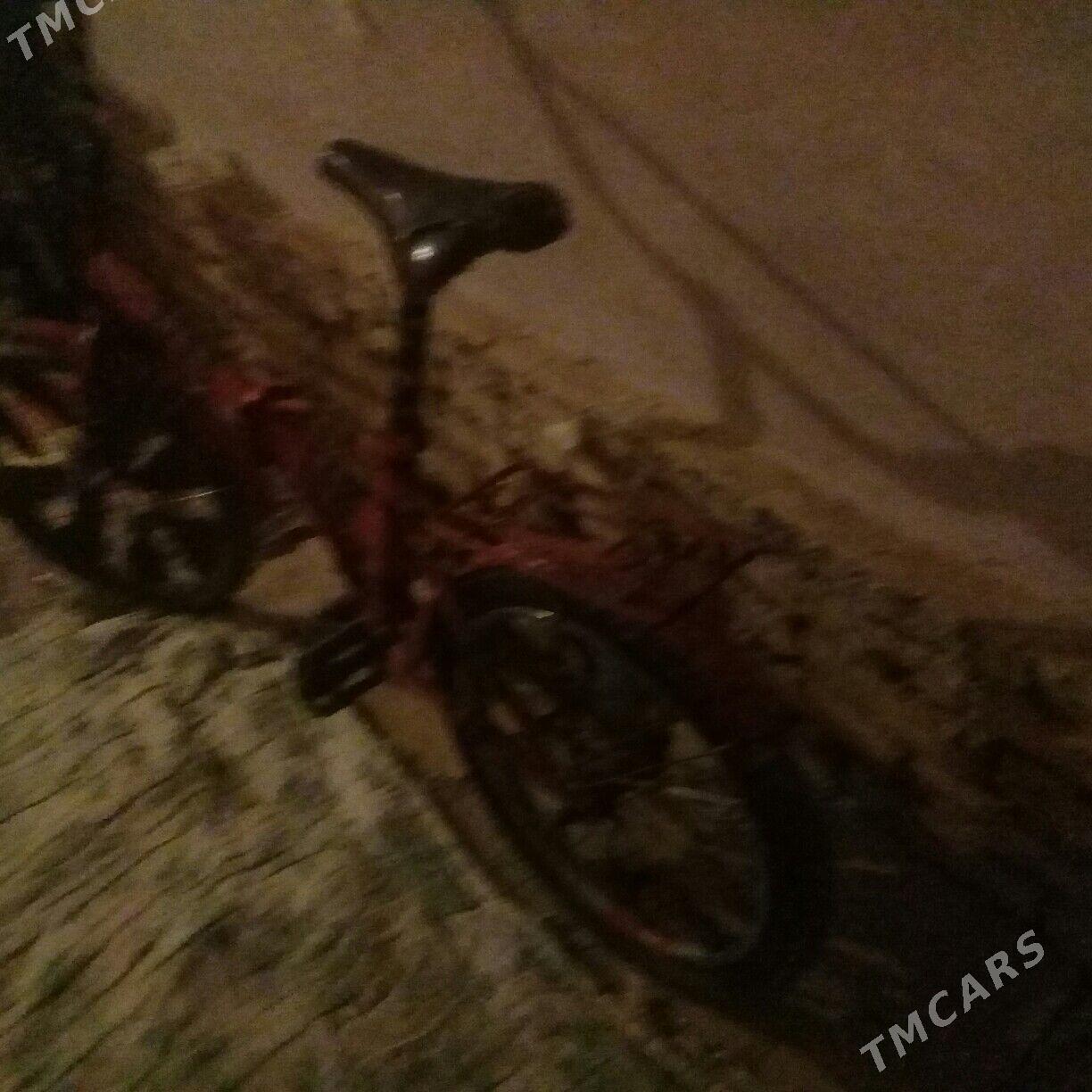 velik kama - Daşoguz - img 2