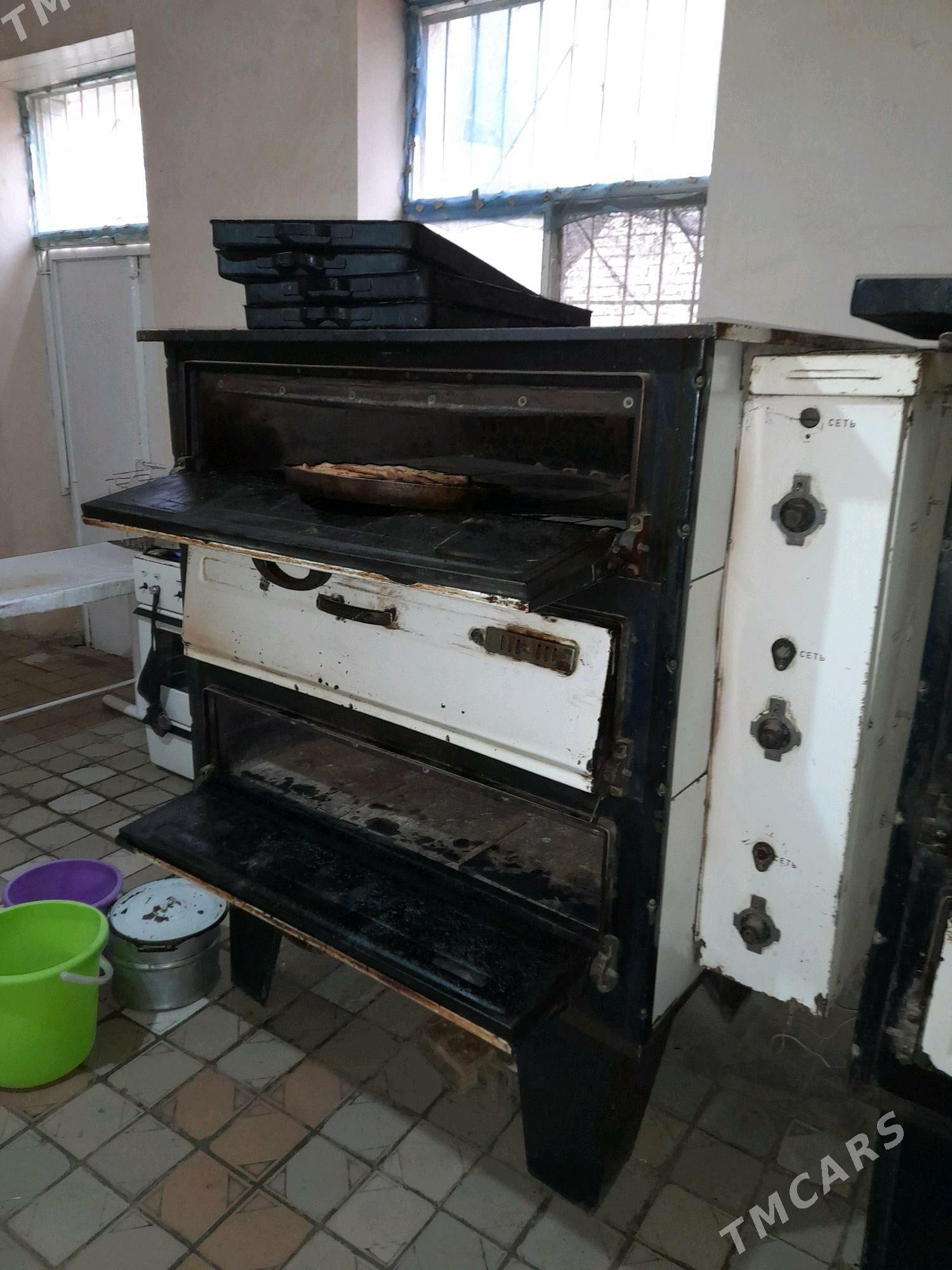 Duhowka - Mary - img 3