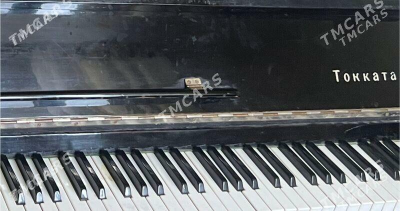 Pianina - Balkanabat - img 2