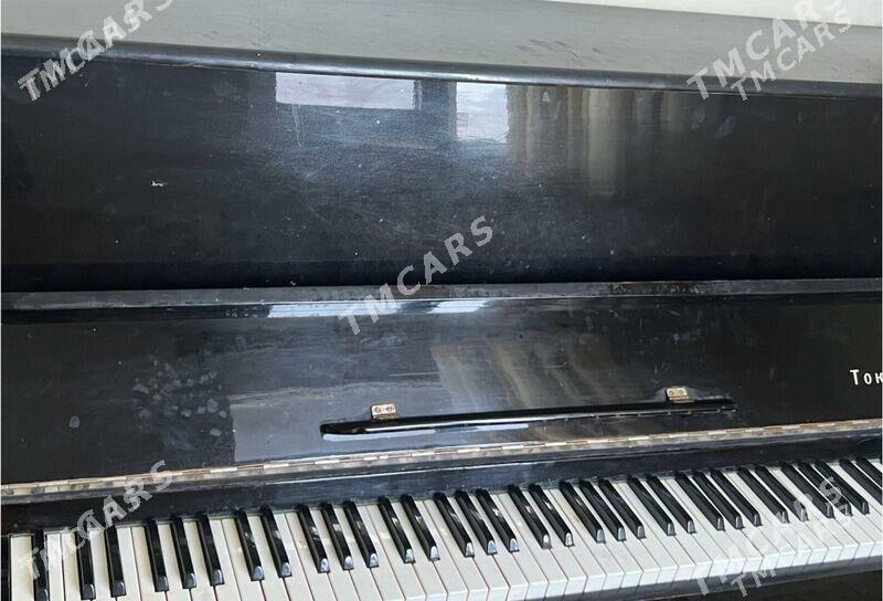 Pianina - Balkanabat - img 3