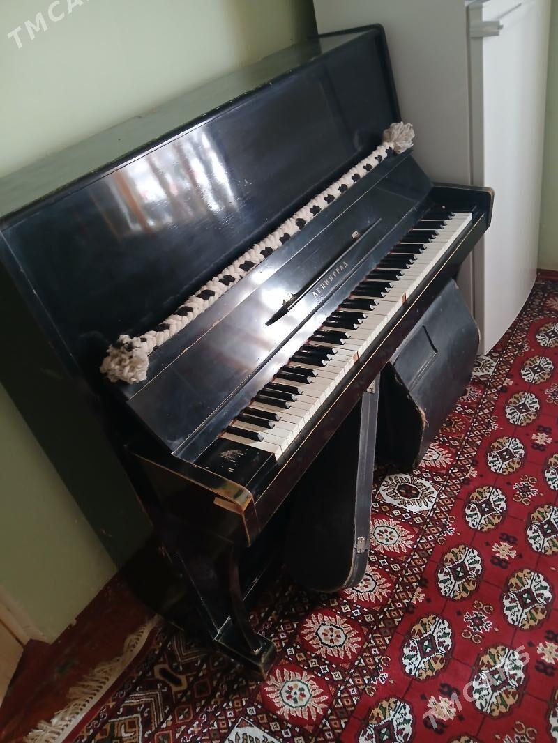 Pianino - Gurtly - img 2