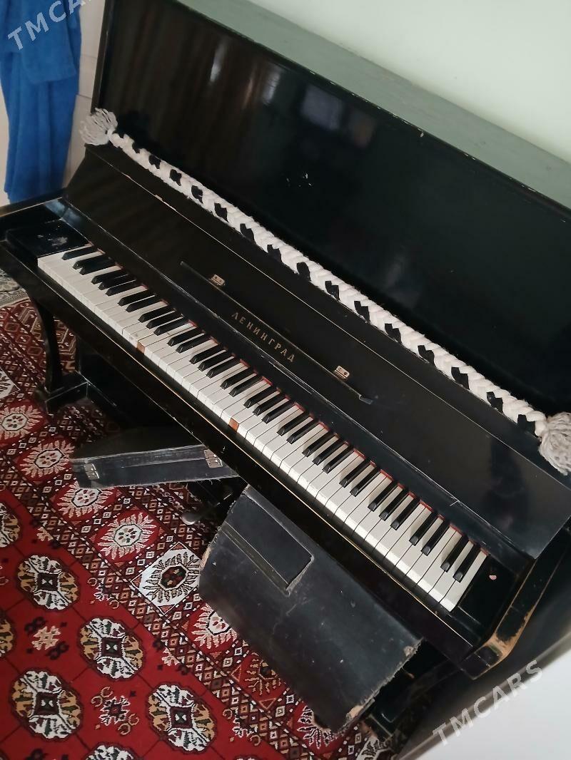 Pianino - Gurtly - img 3
