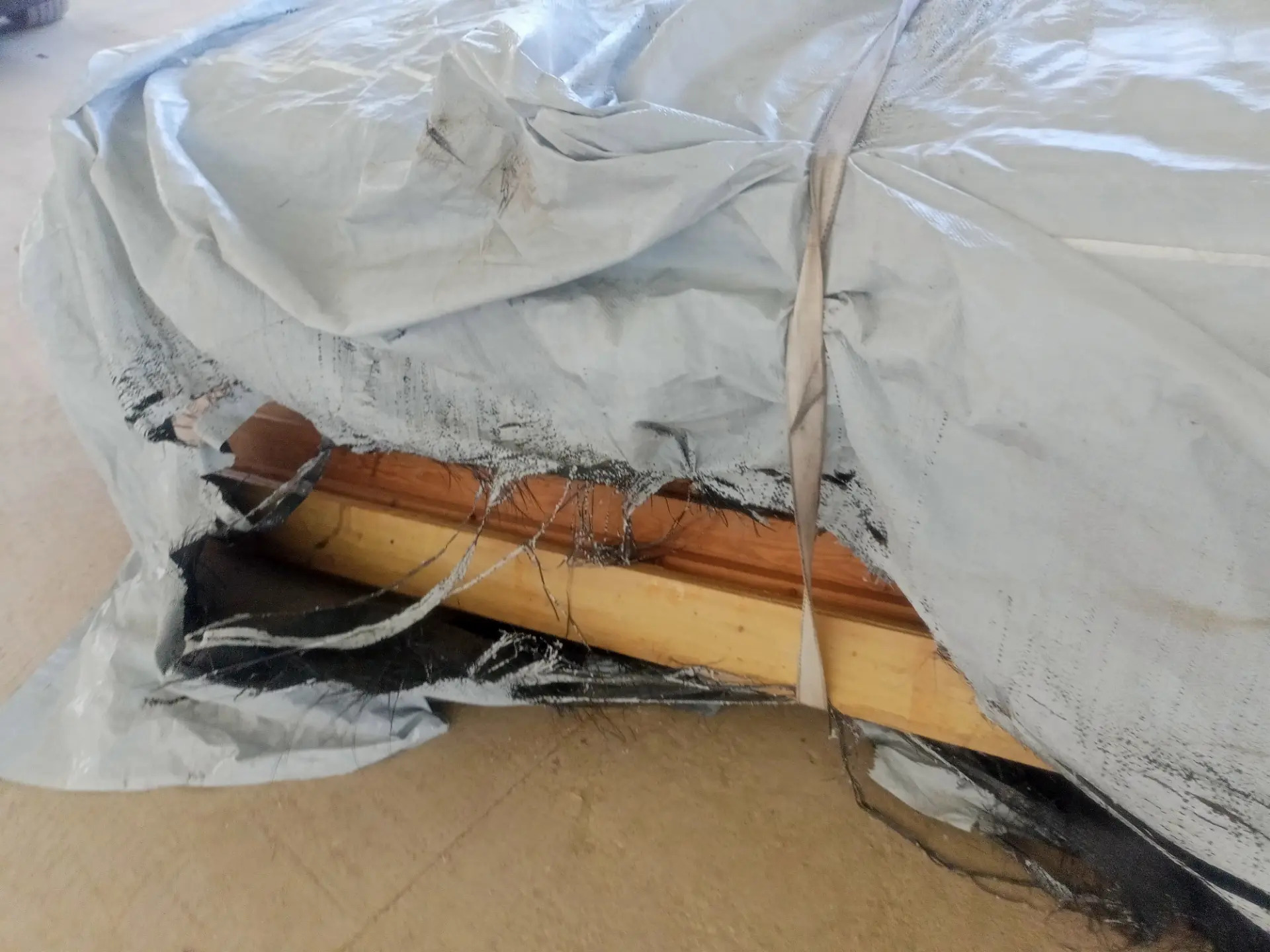 Agac doska - Balkanabat - img 4