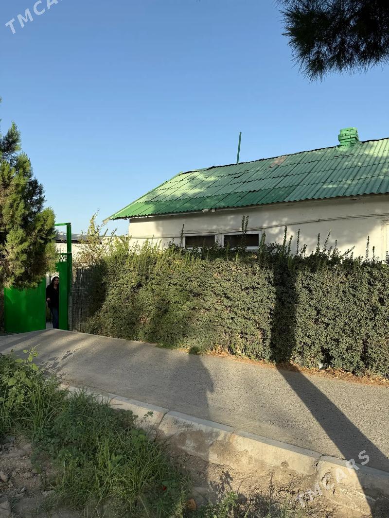 satlyk Jay 4 kom - Änew - img 5