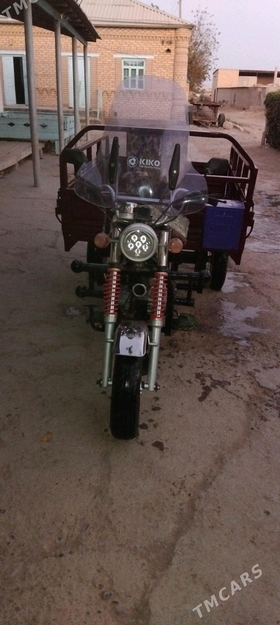 Fekon FK200-14G 2013 - 20 000 TMT - Sakarçäge - img 8