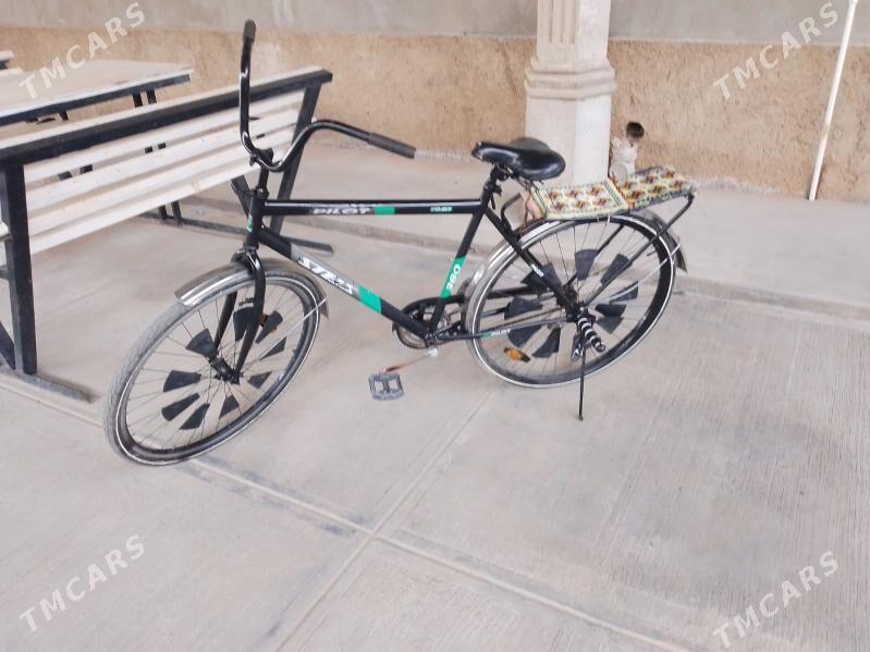 Ural welik - Türkmenbaşy - img 2