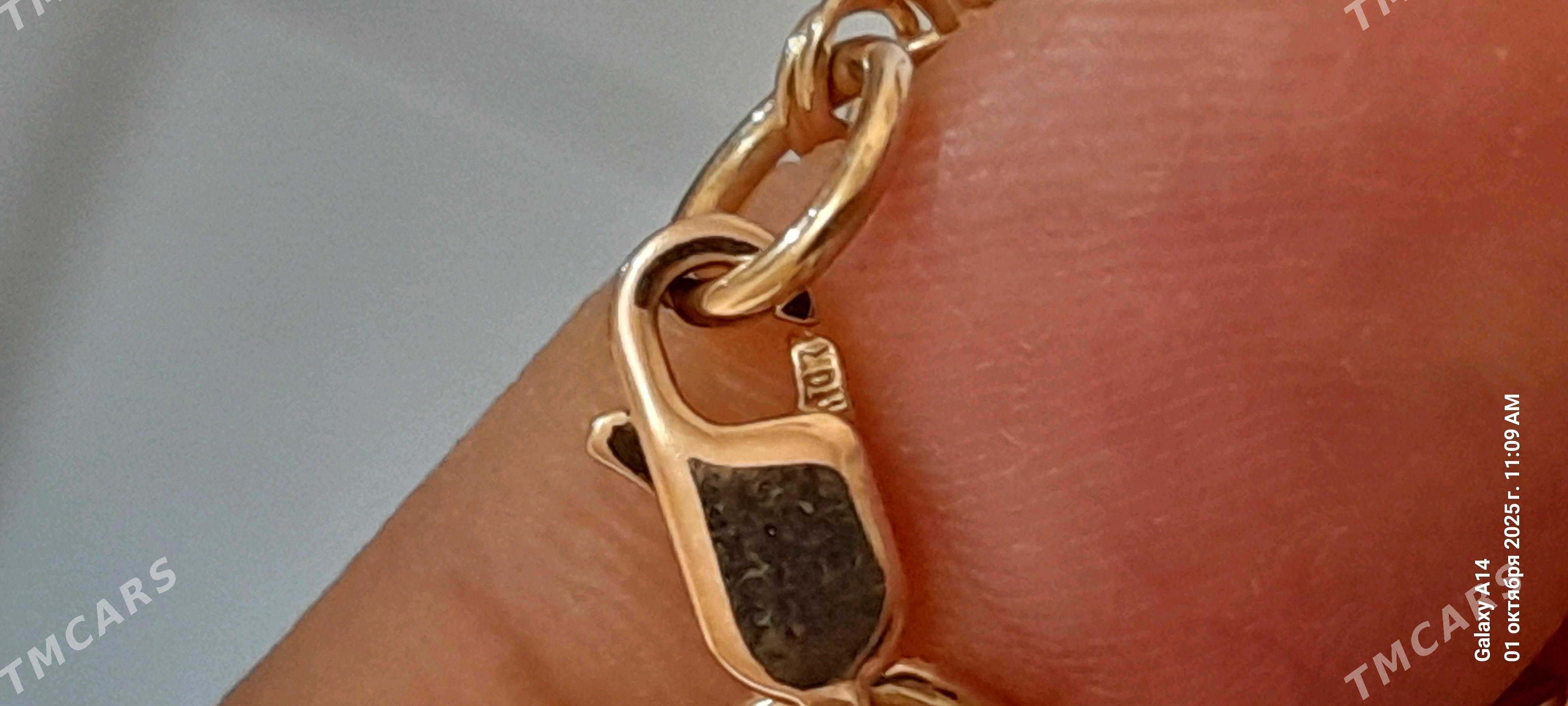 gyzyl kardinal 20lik - Ашхабад - img 1