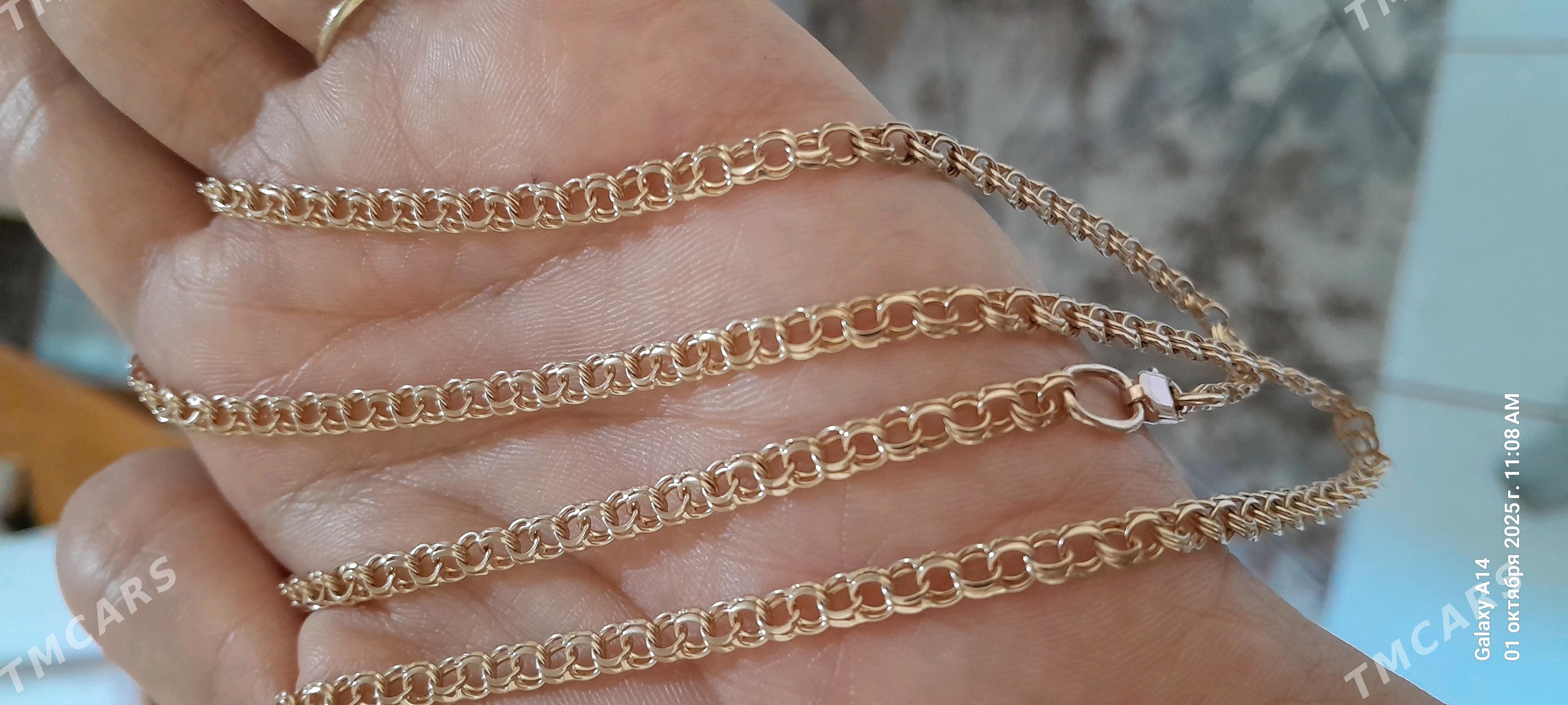 gyzyl kardinal 20lik - Ашхабад - img 2