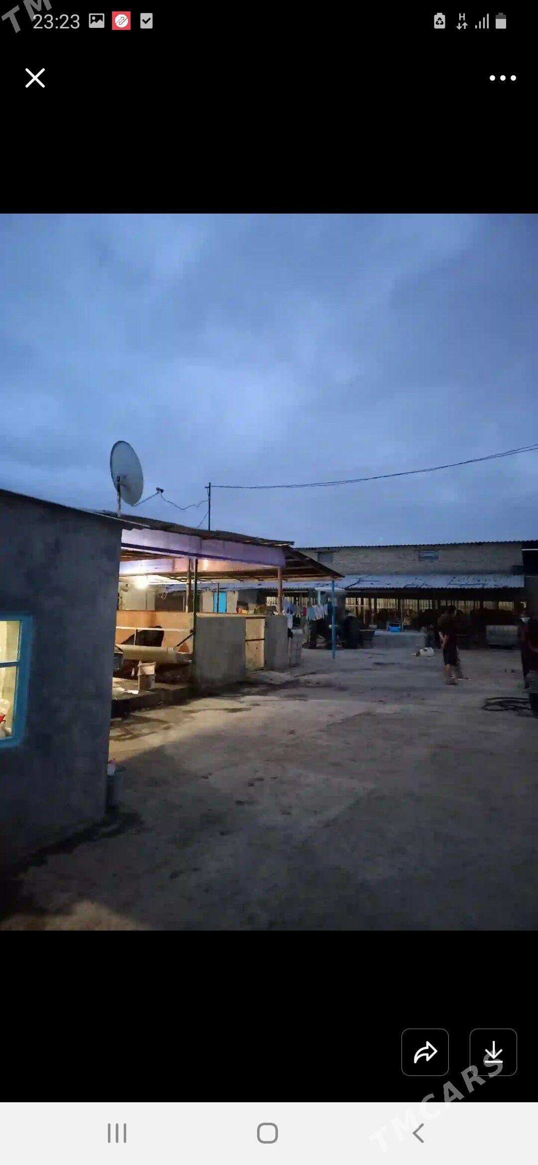 Howly jay Mal yatak - Гёкдепе - img 3