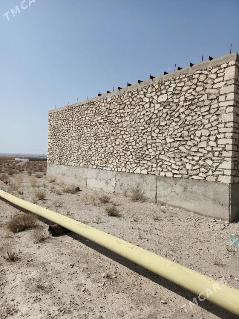 satlyk jay duzmergen - Балканабат - img 5