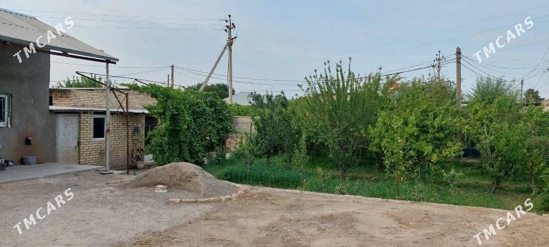 satlyk jay - Мары - img 7