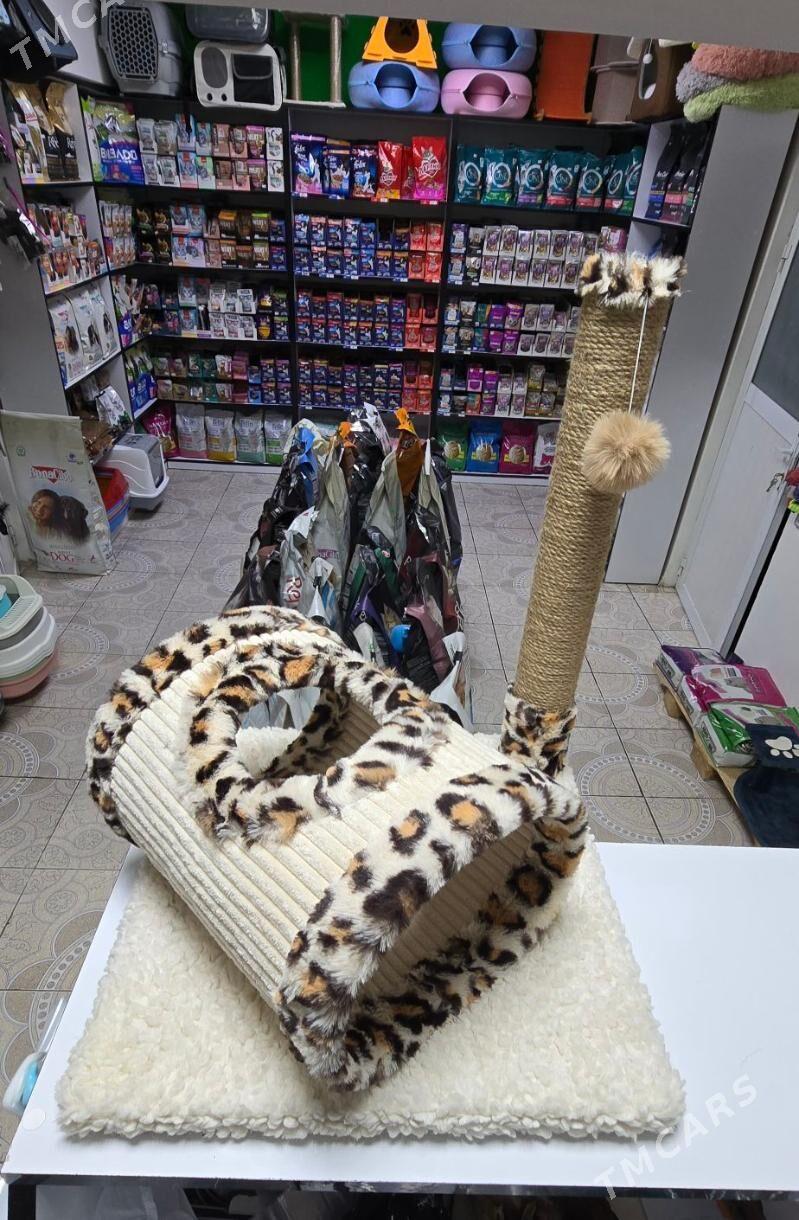 когтеточки для кошек - Aşgabat - img 6