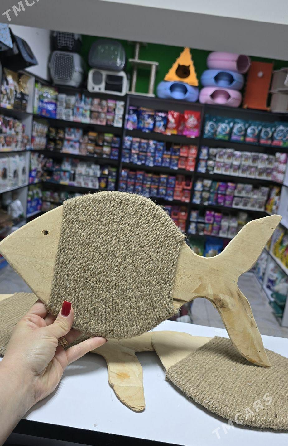 когтеточки для кошек - Aşgabat - img 8