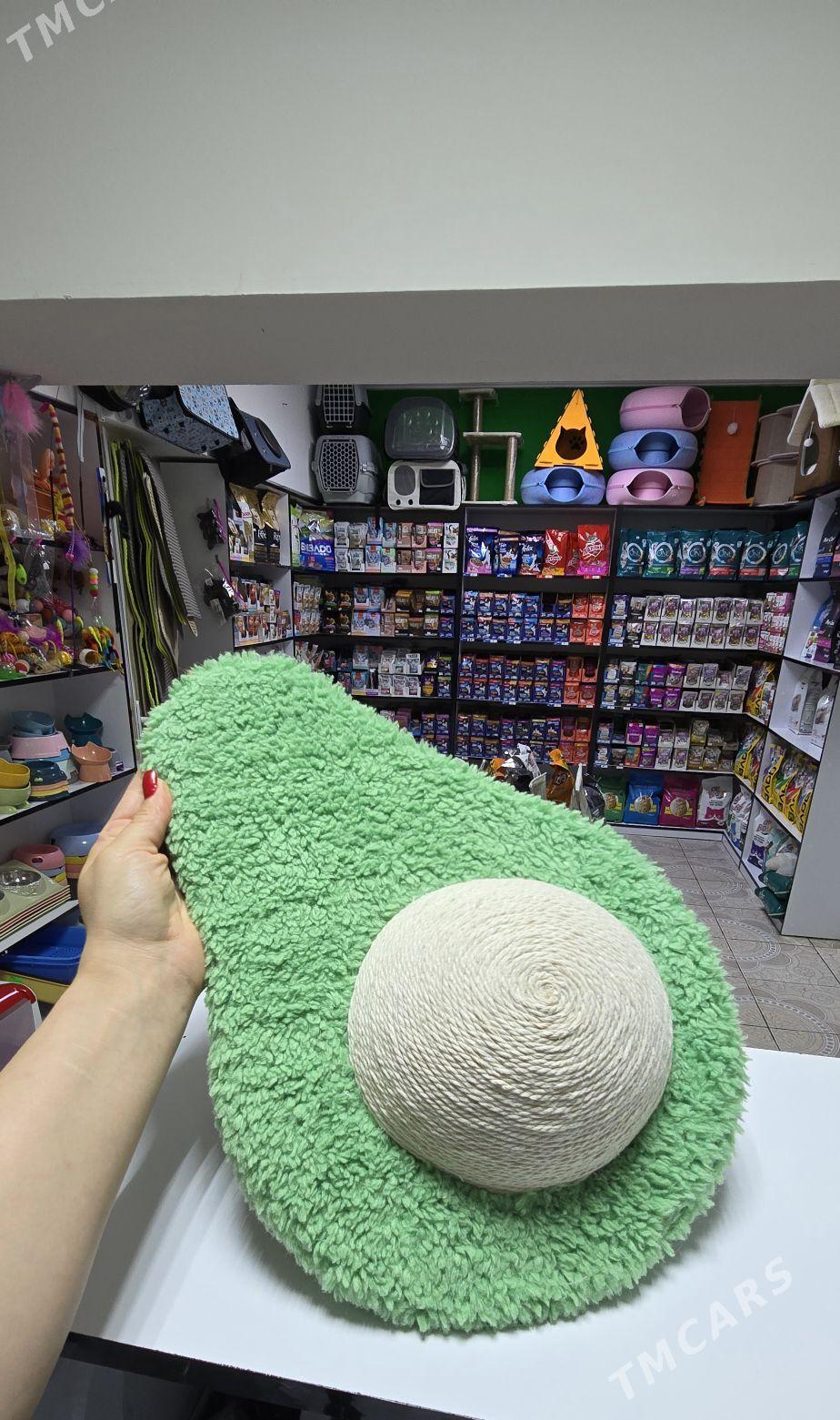 когтеточки для кошек - Aşgabat - img 5