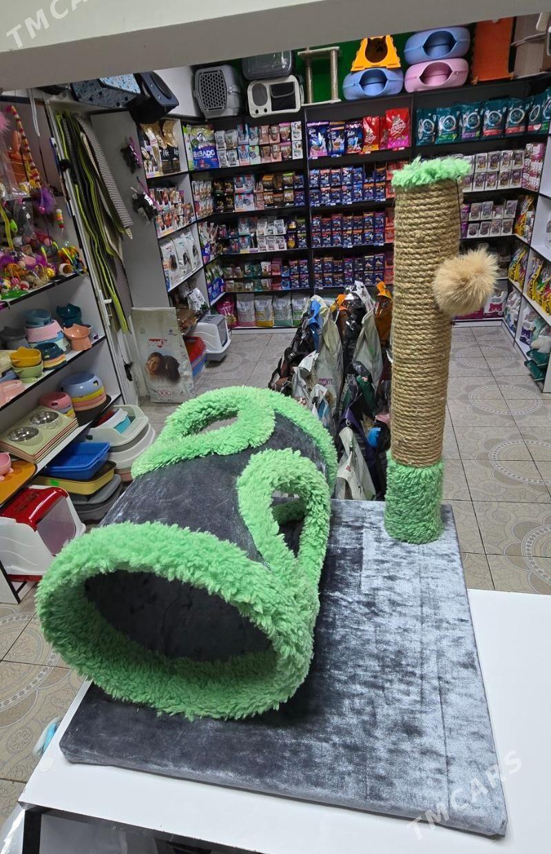 когтеточки для кошек - Aşgabat - img 3