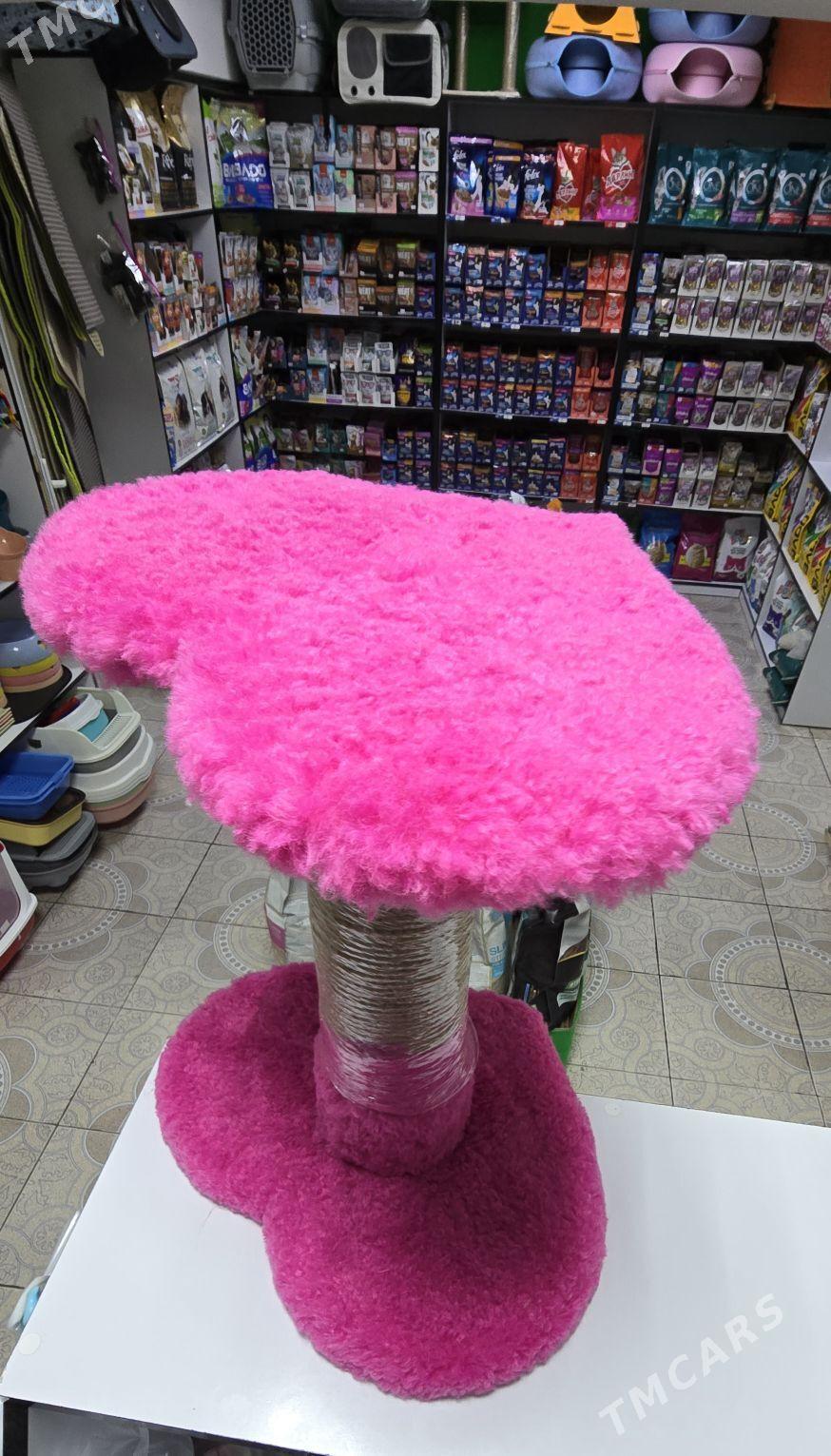 когтеточки для кошек - Aşgabat - img 2