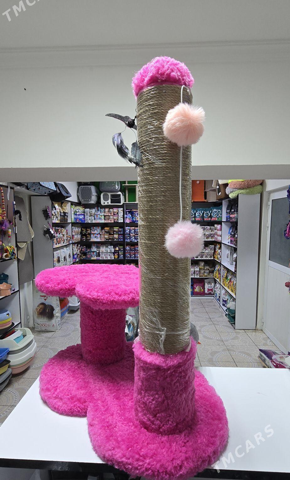 когтеточки для кошек - Aşgabat - img 4