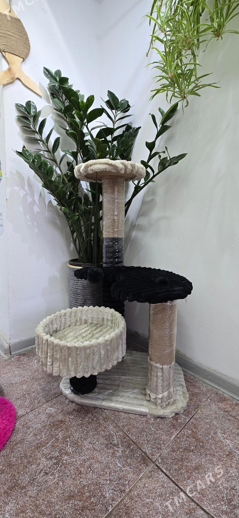 когтеточки для кошек - Aşgabat - img 9