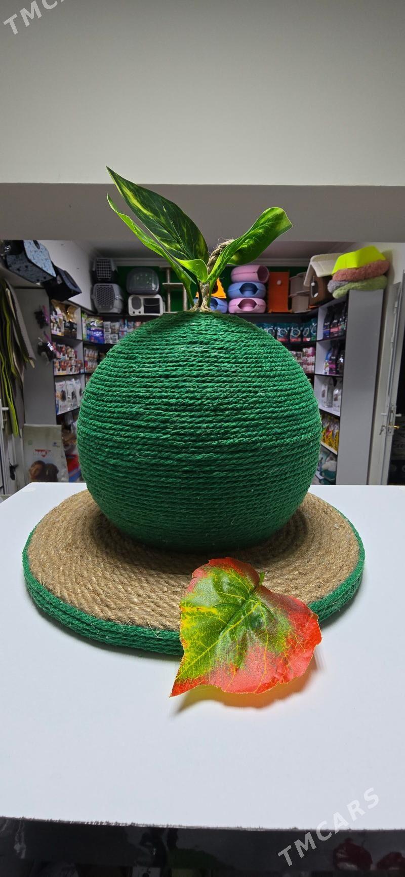 когтеточки для кошек - Aşgabat - img 10