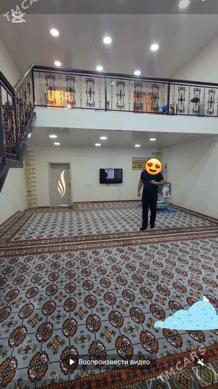 kotej - Mary - img 3