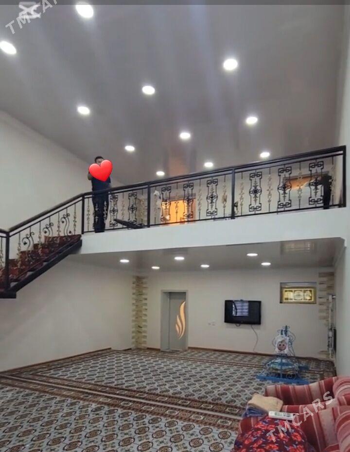 kotej - Mary - img 8