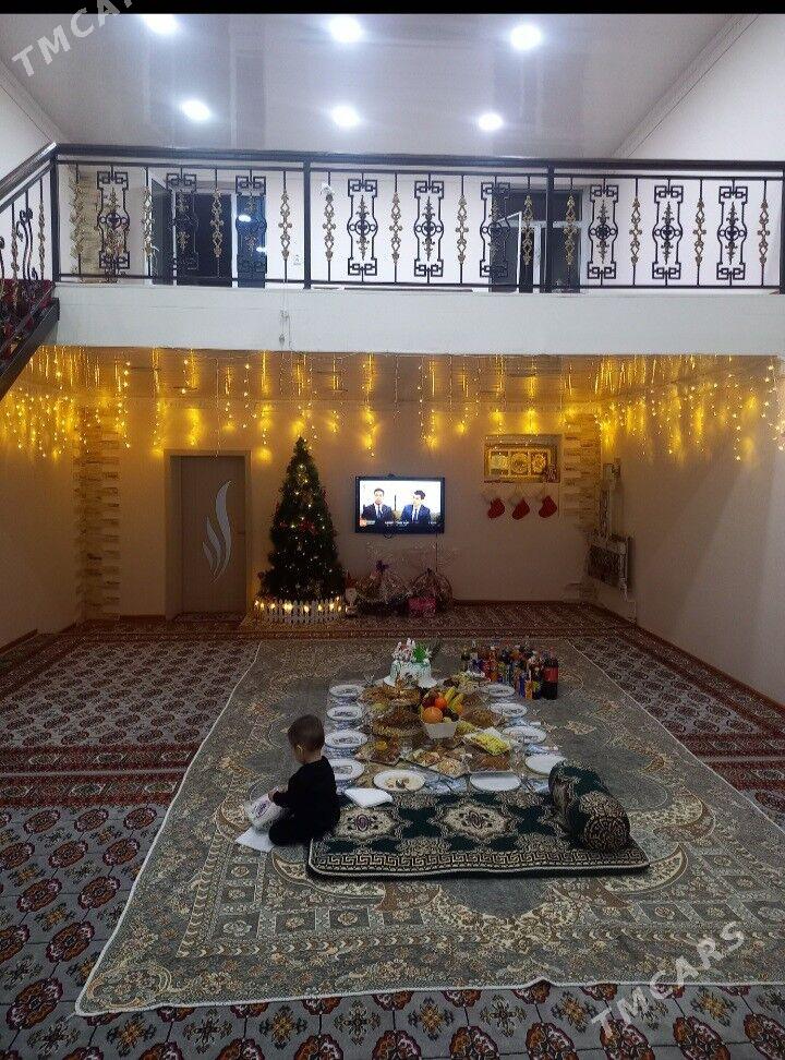 kotej - Mary - img 4