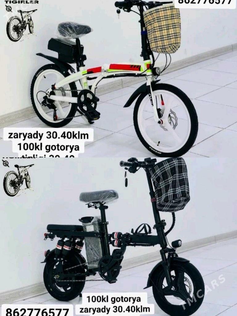 TOKLY TIGIR SAMAKAT MATOR MASY - Gurtly - img 10
