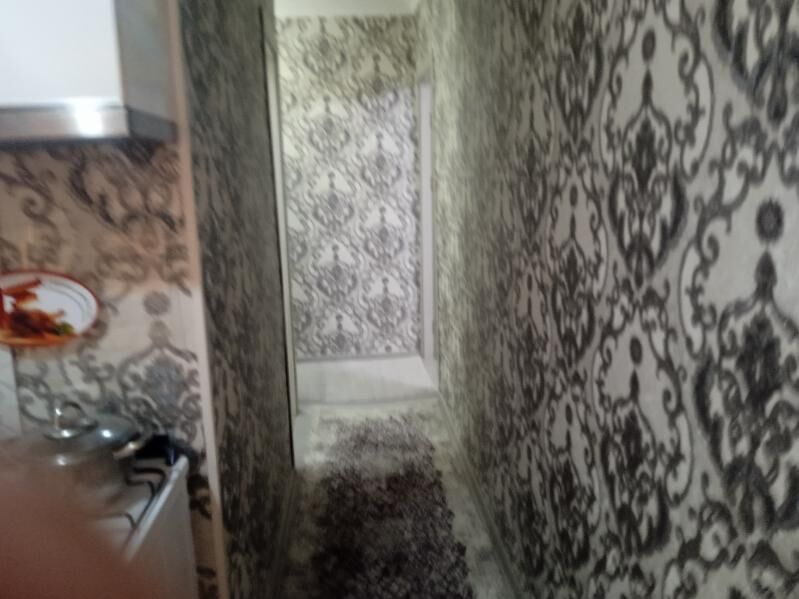 Satlyk jay - Сейди - img 2