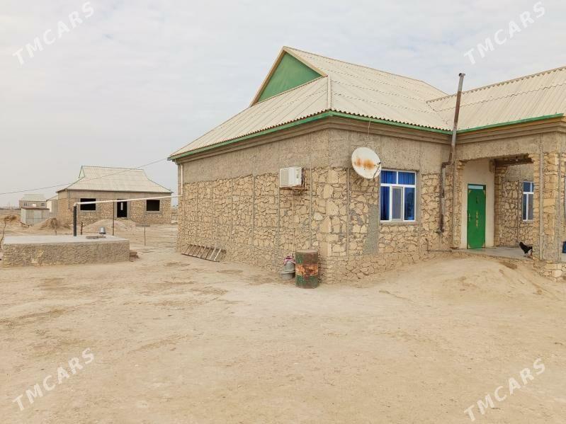 palanowoý jaý - Etrek - img 3