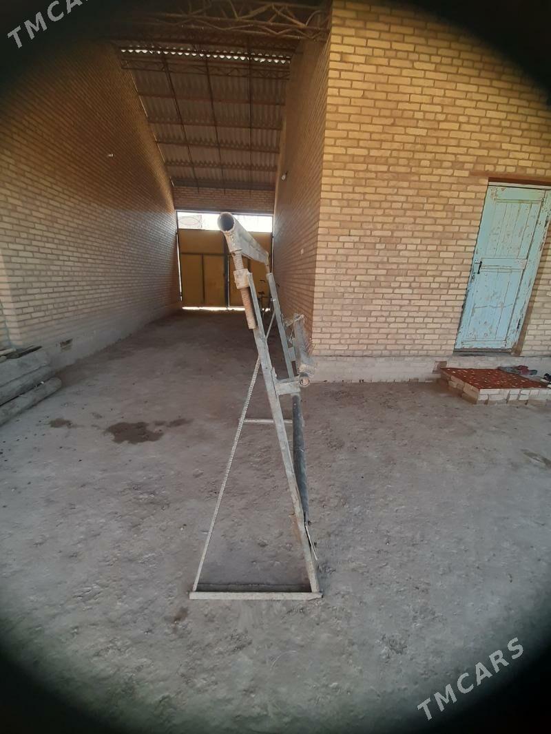 Haly stanok - Halaç - img 2