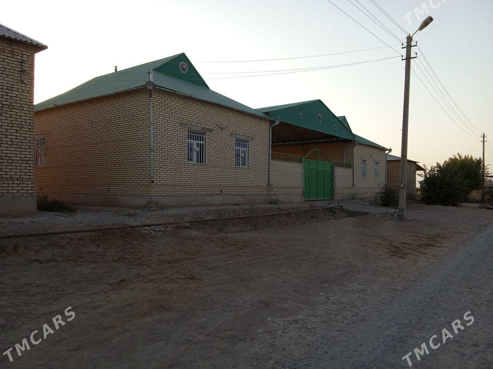 jay - Babadaýhan - img 2